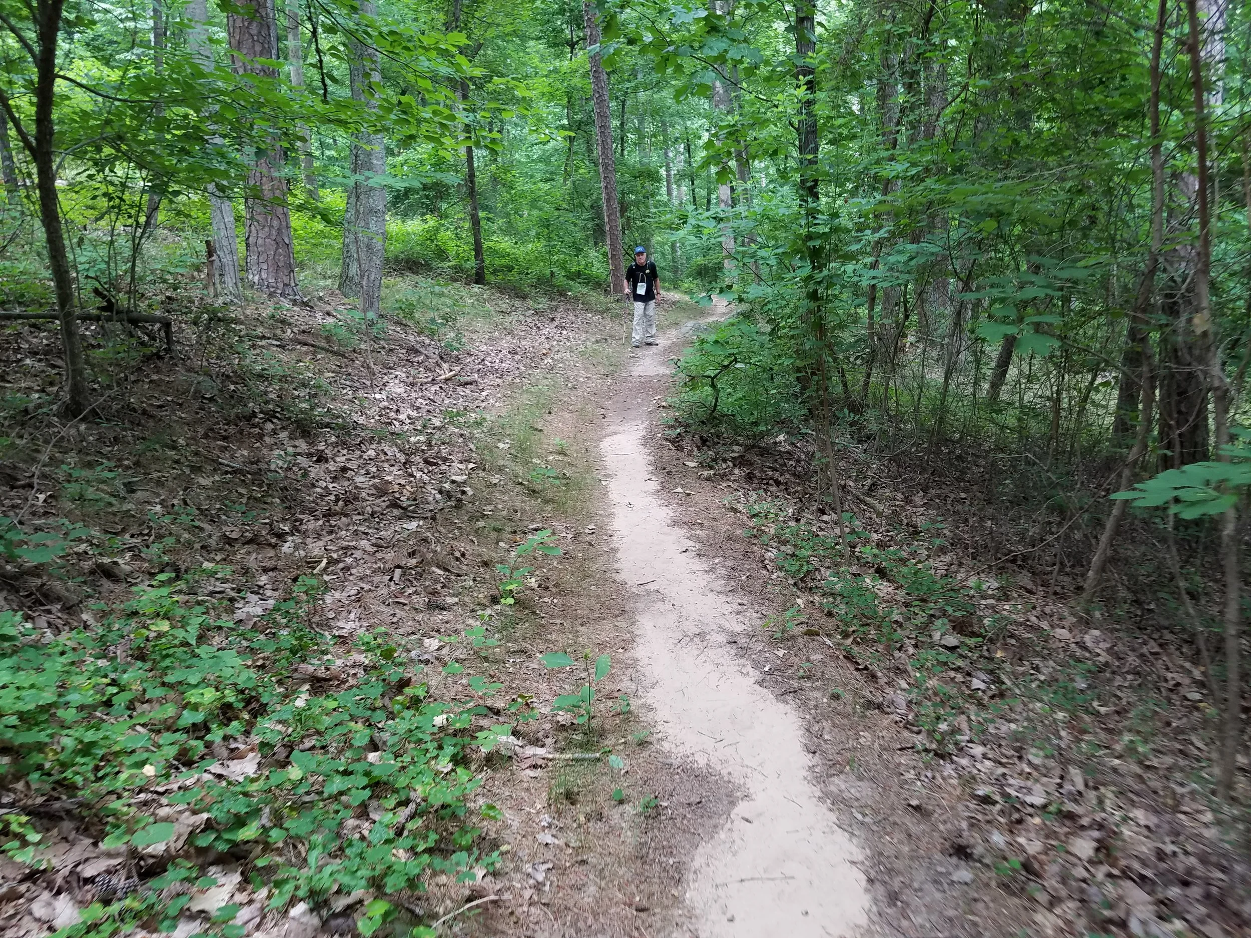 20190605_142405.jpg