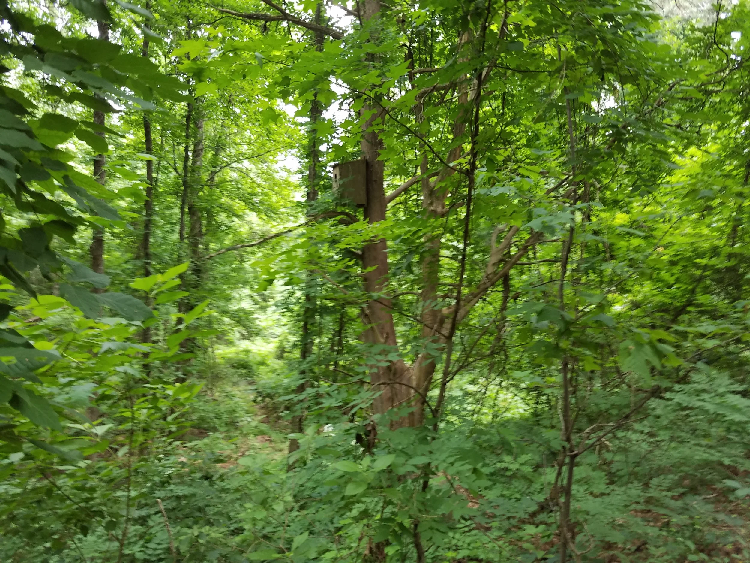 20190605_145437.jpg