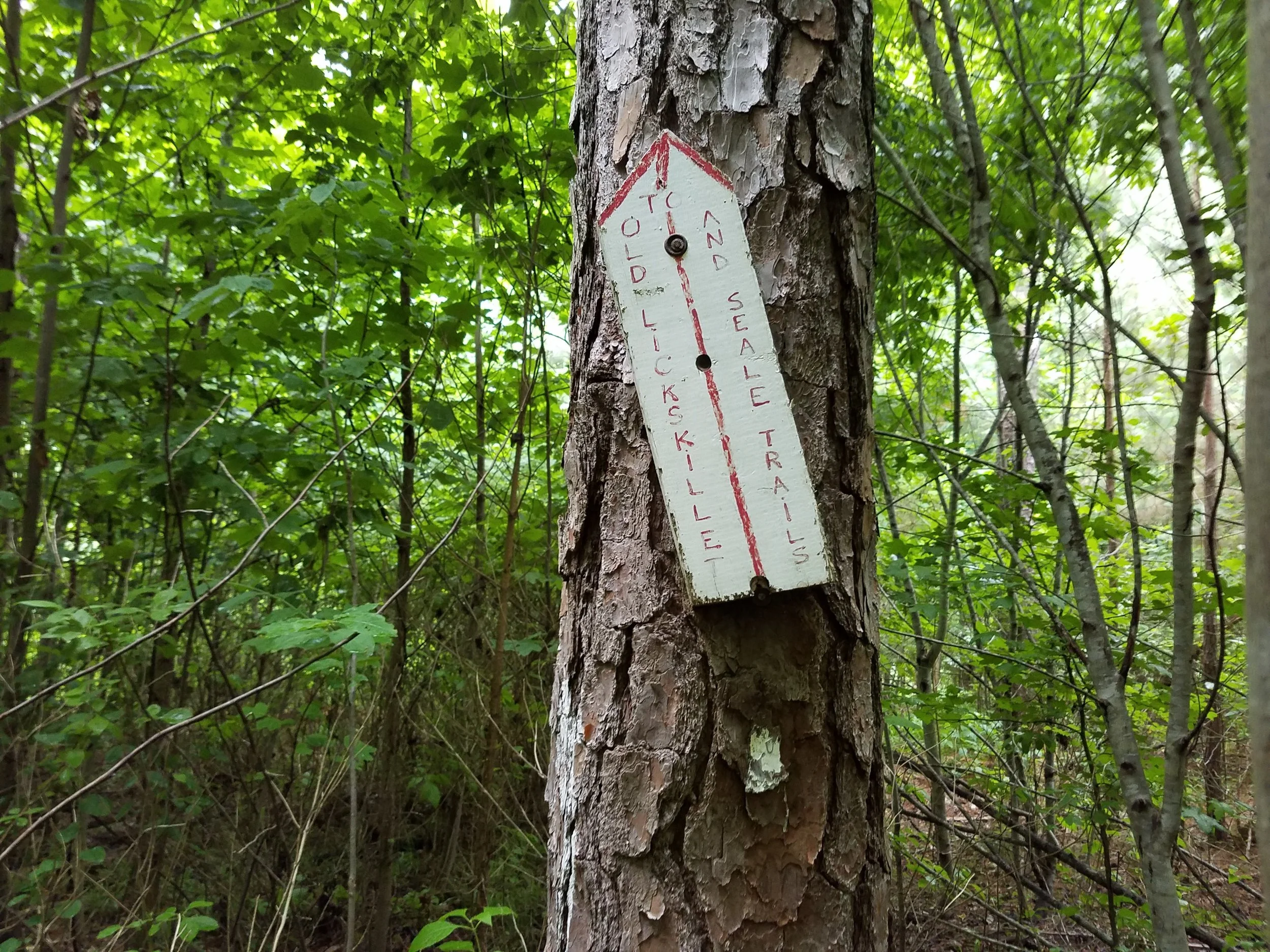 20190606_104120.jpg