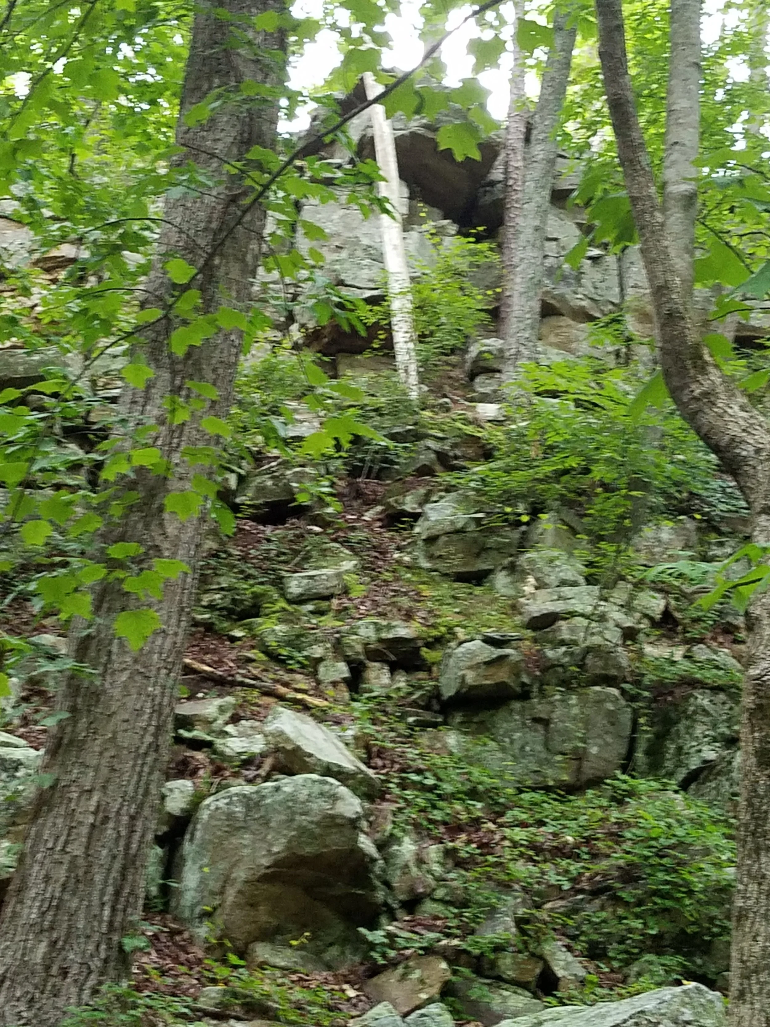 20190606_173456.jpg