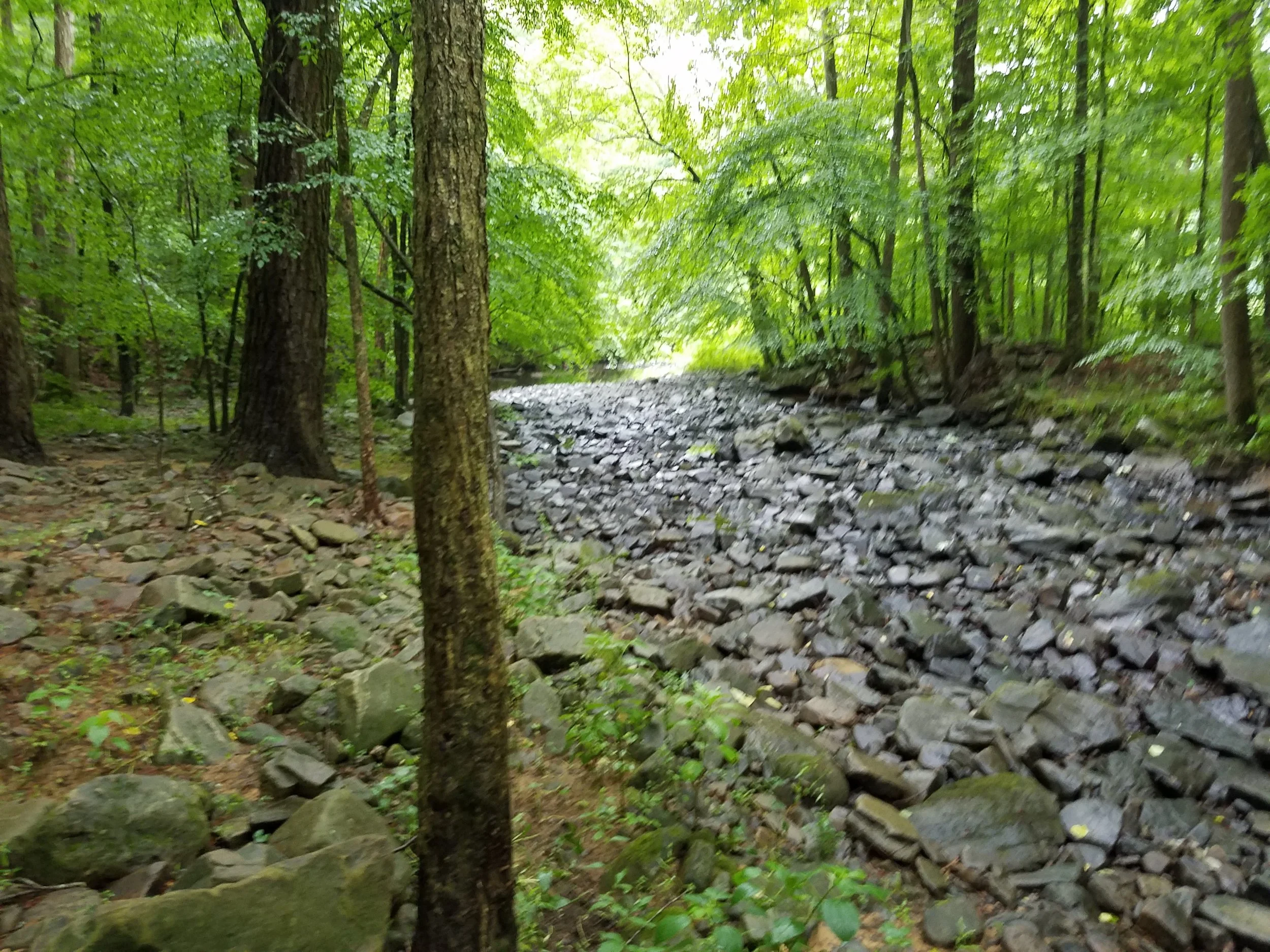 20190607_100745.jpg