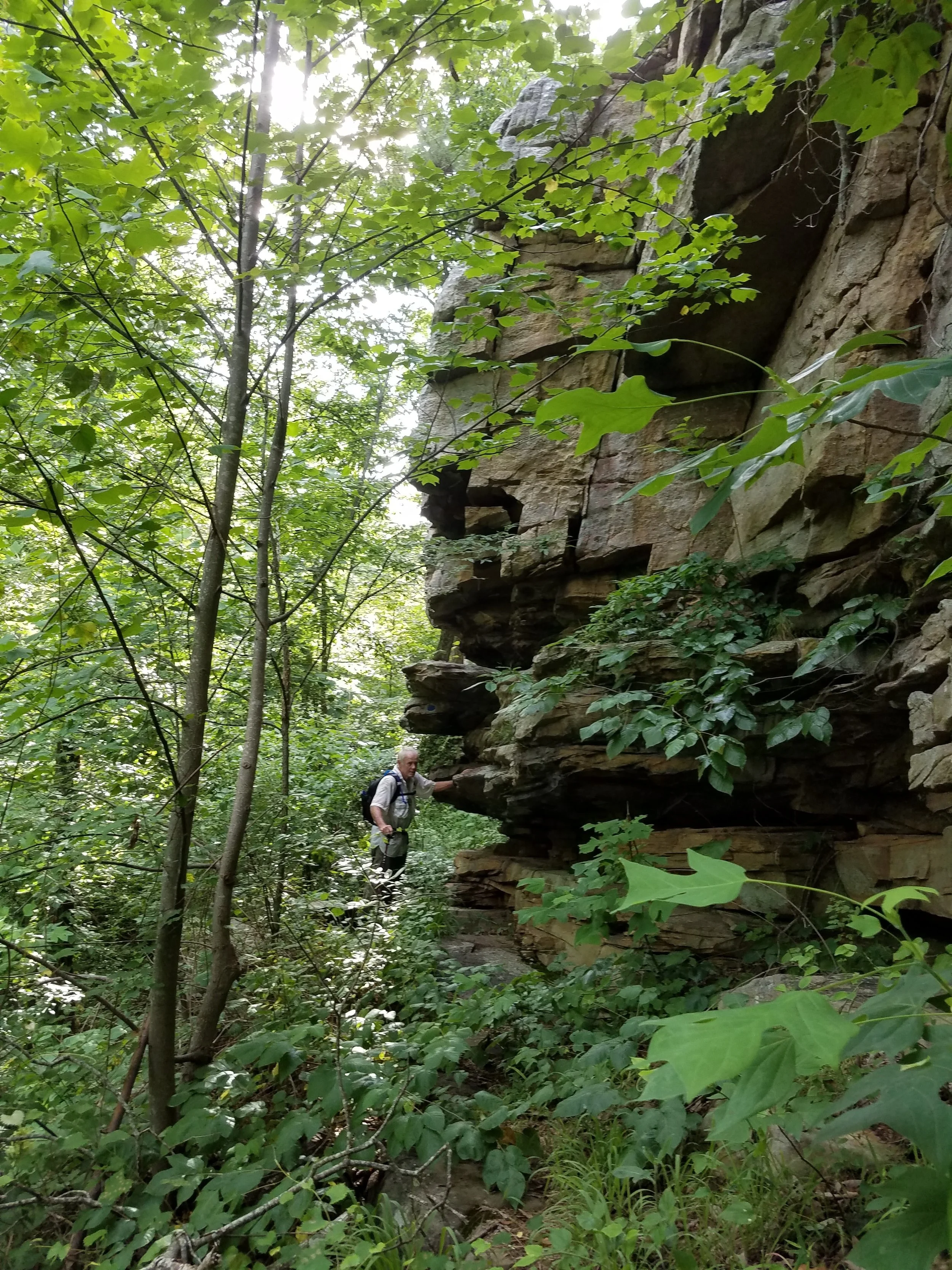 20190607_175539.jpg