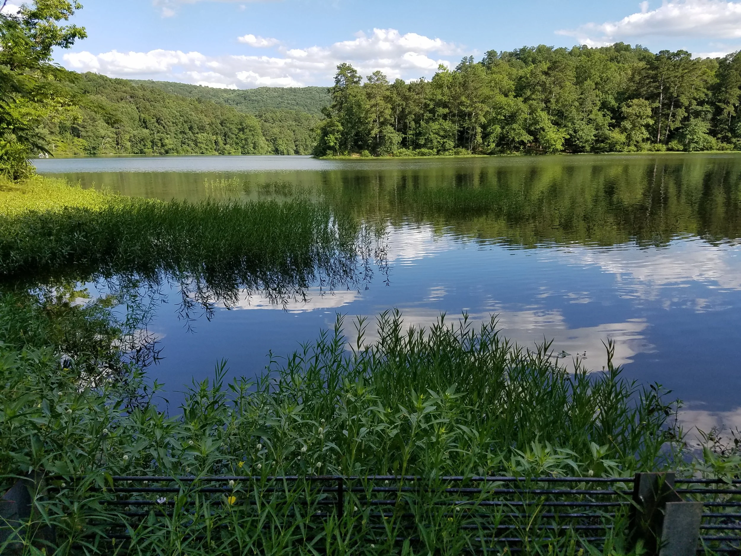 20190613_175713.jpg