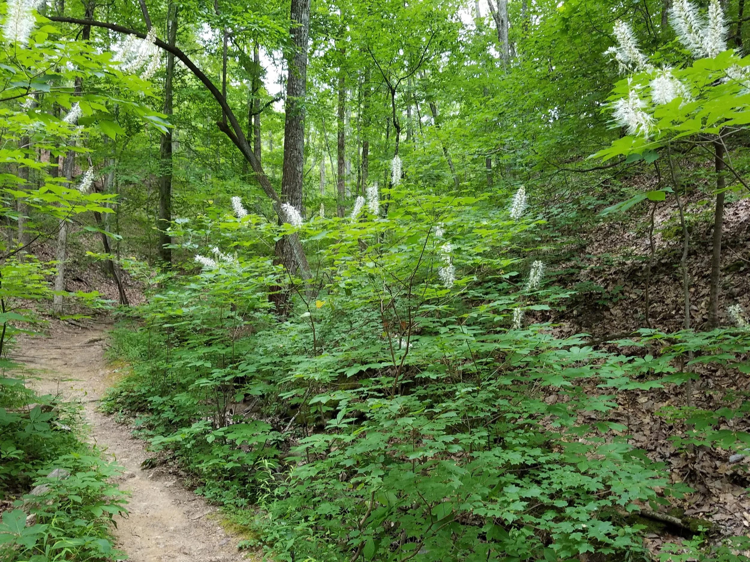 20190612_122522.jpg