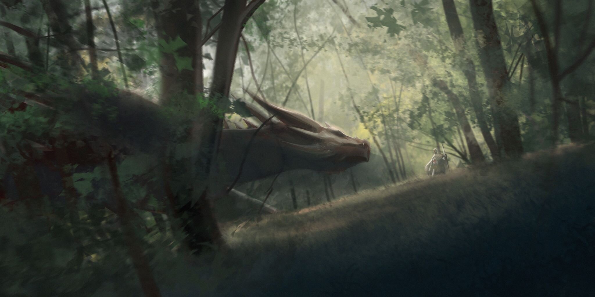 In the Woods
