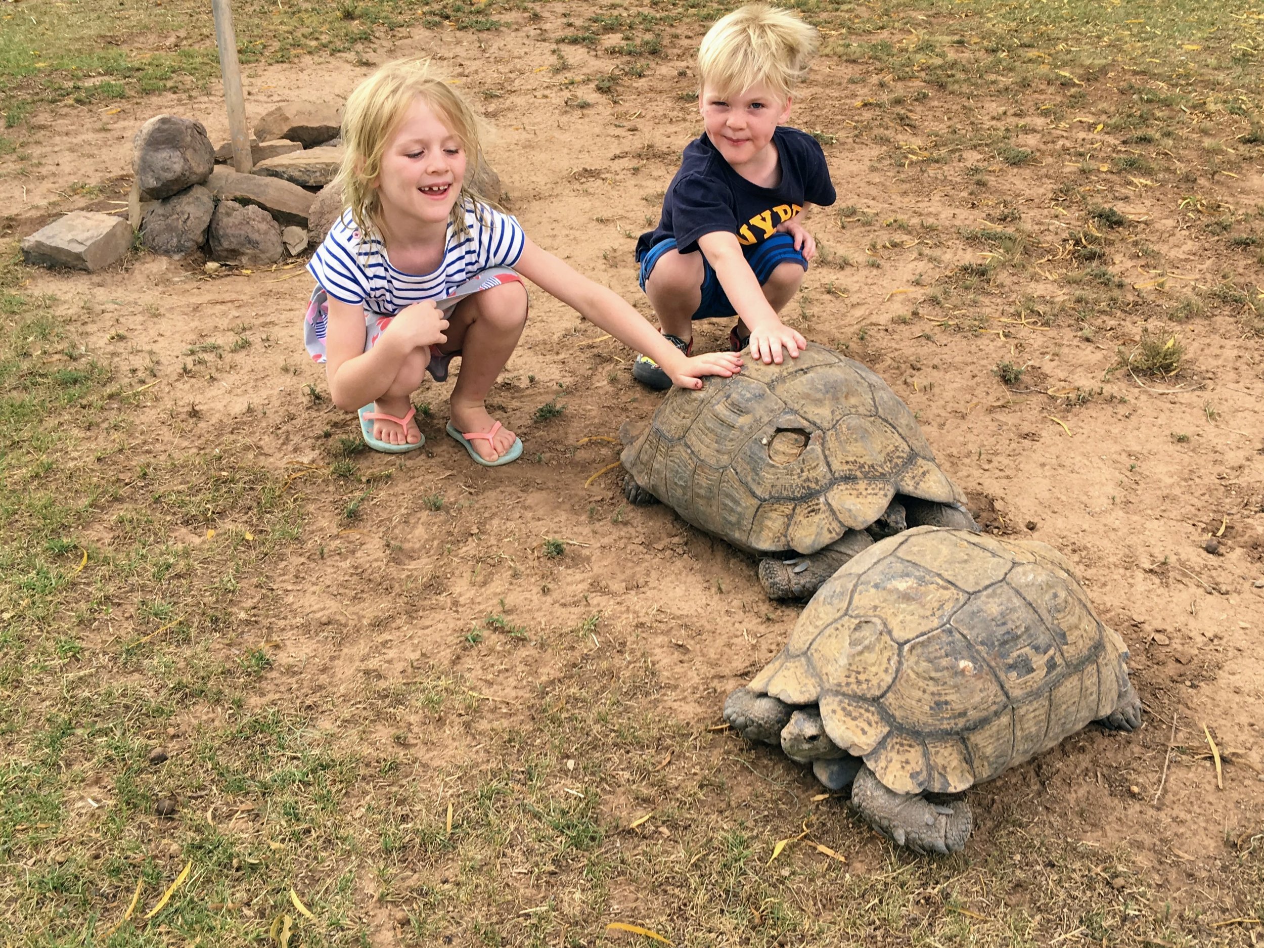 Best stop over from Johannesburg to Cape Town