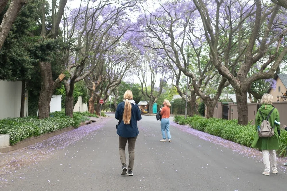 Johannesburg Tours 