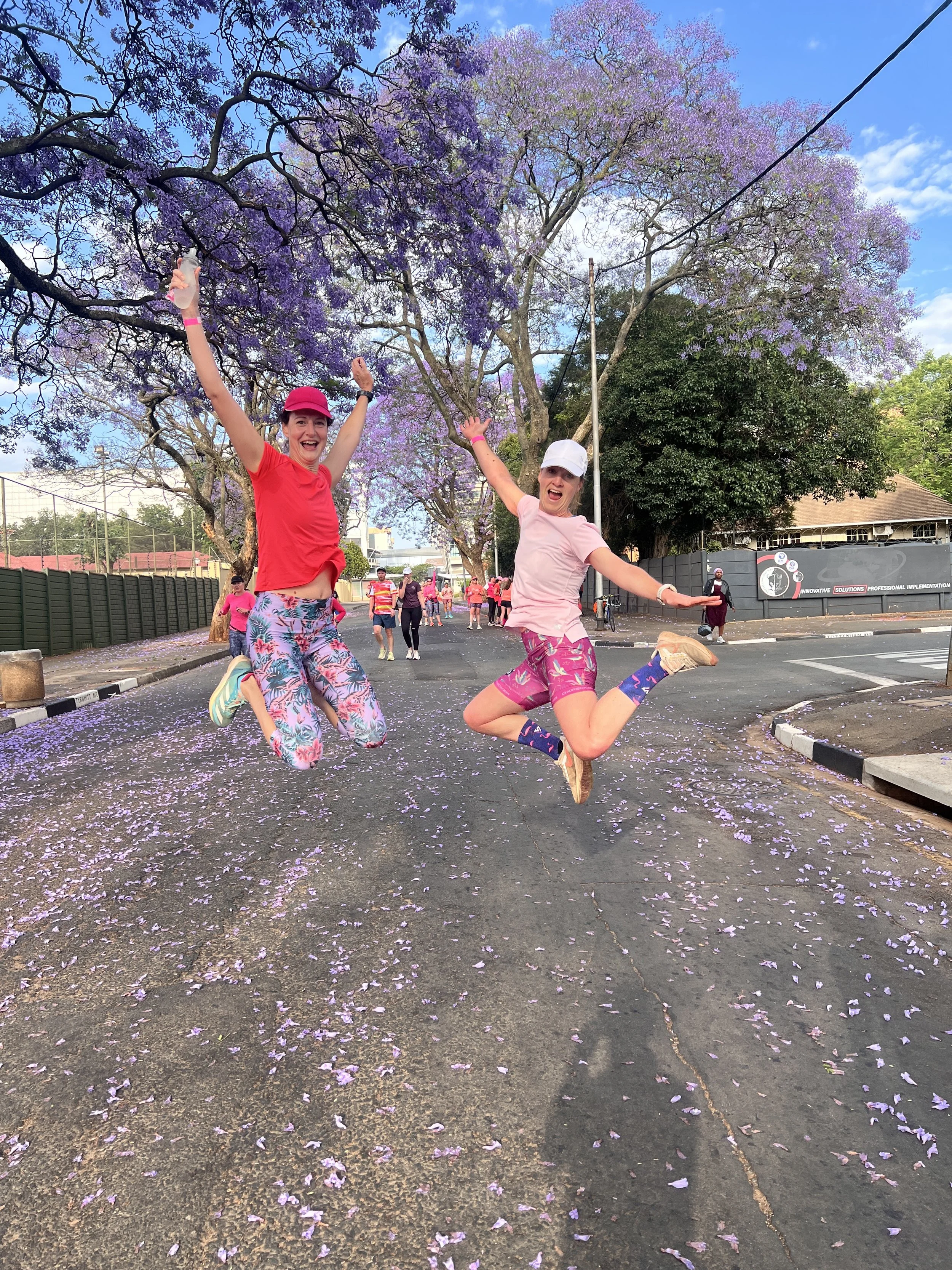 Where to See the Jacarandas in Johannesburg and Pretoria