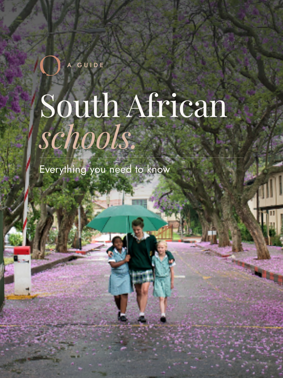 How to Choose a School in Johannesburg: A Guide for Expat Families