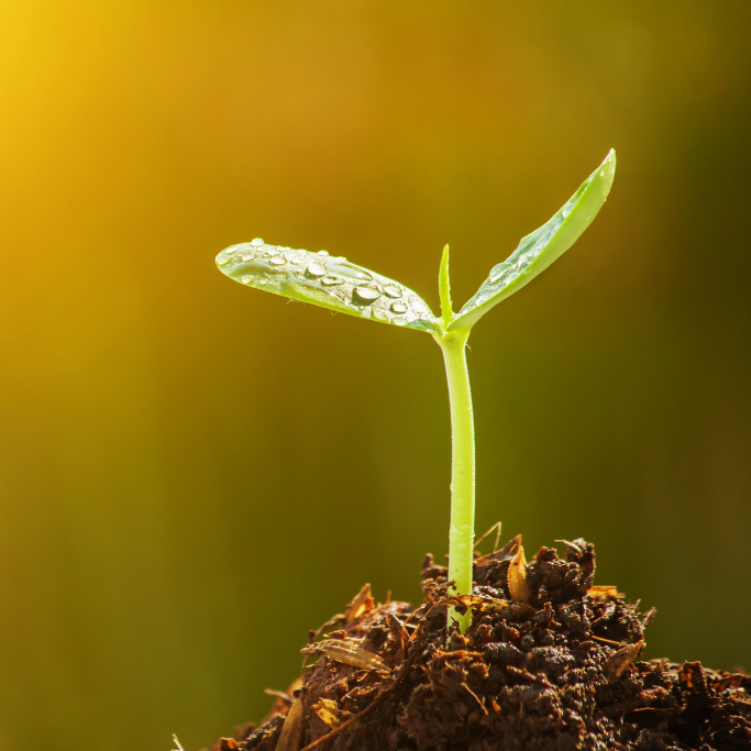 How to Recognise Progress When You Can't See Results Yet