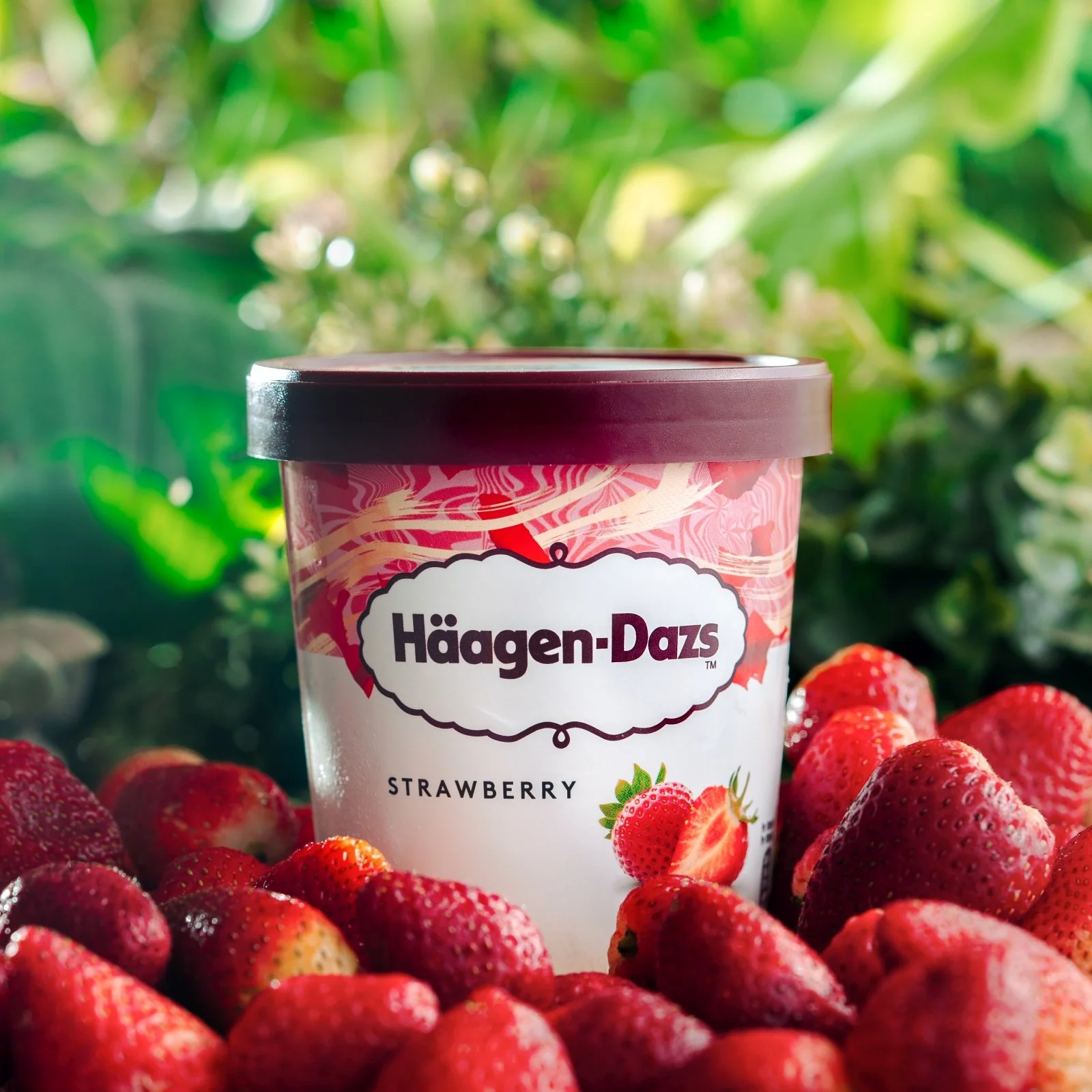 Copy of Copy of DSC03313-Edit.jpg