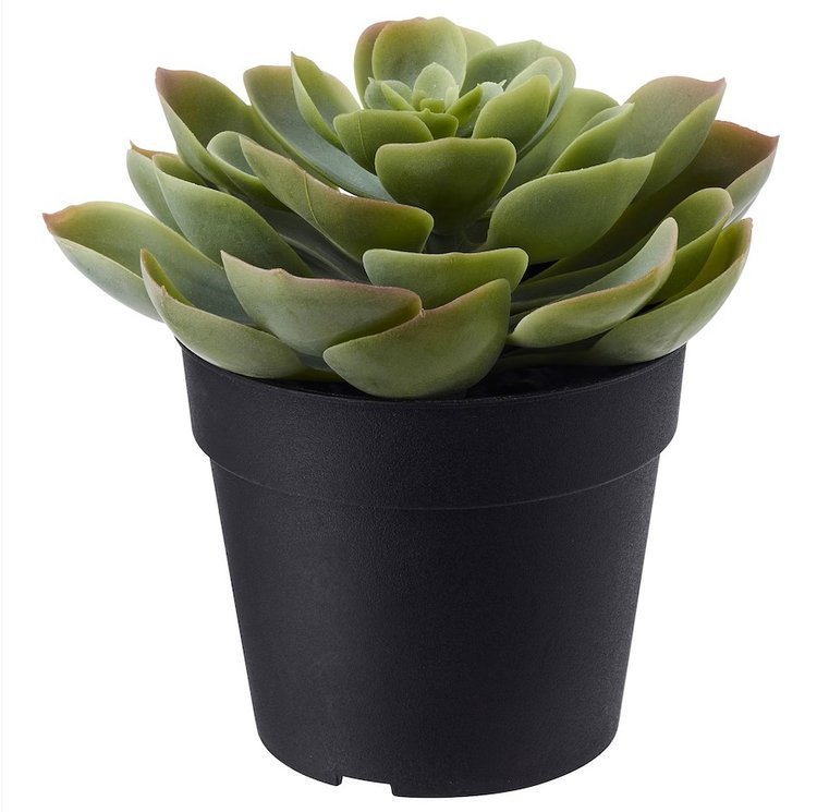 fejka-artificial-potted-plant-in-outdoor-succulent__0614203_pe686827_s5.jpg