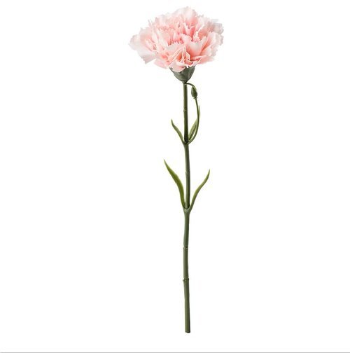 smycka-artificial-flower-carnation-pink__0611395_pe685419_s5.jpg
