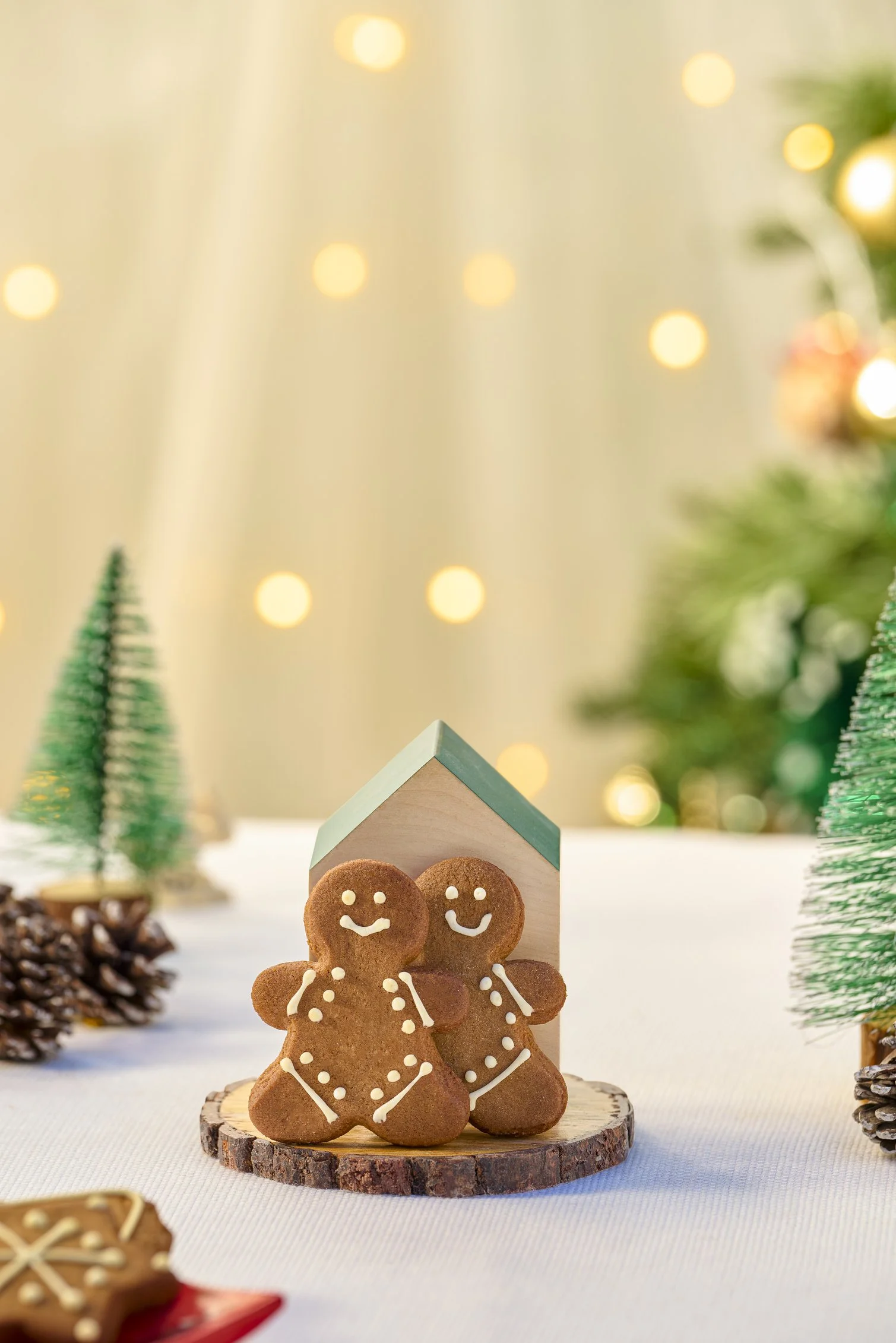 Ginger Bread Mood Shot.jpg