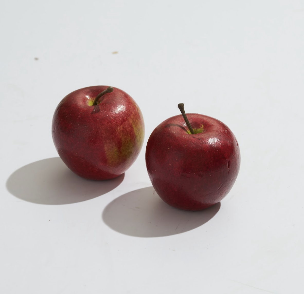 Screenshot 2026-02-24 at 2.52.28 PM.png