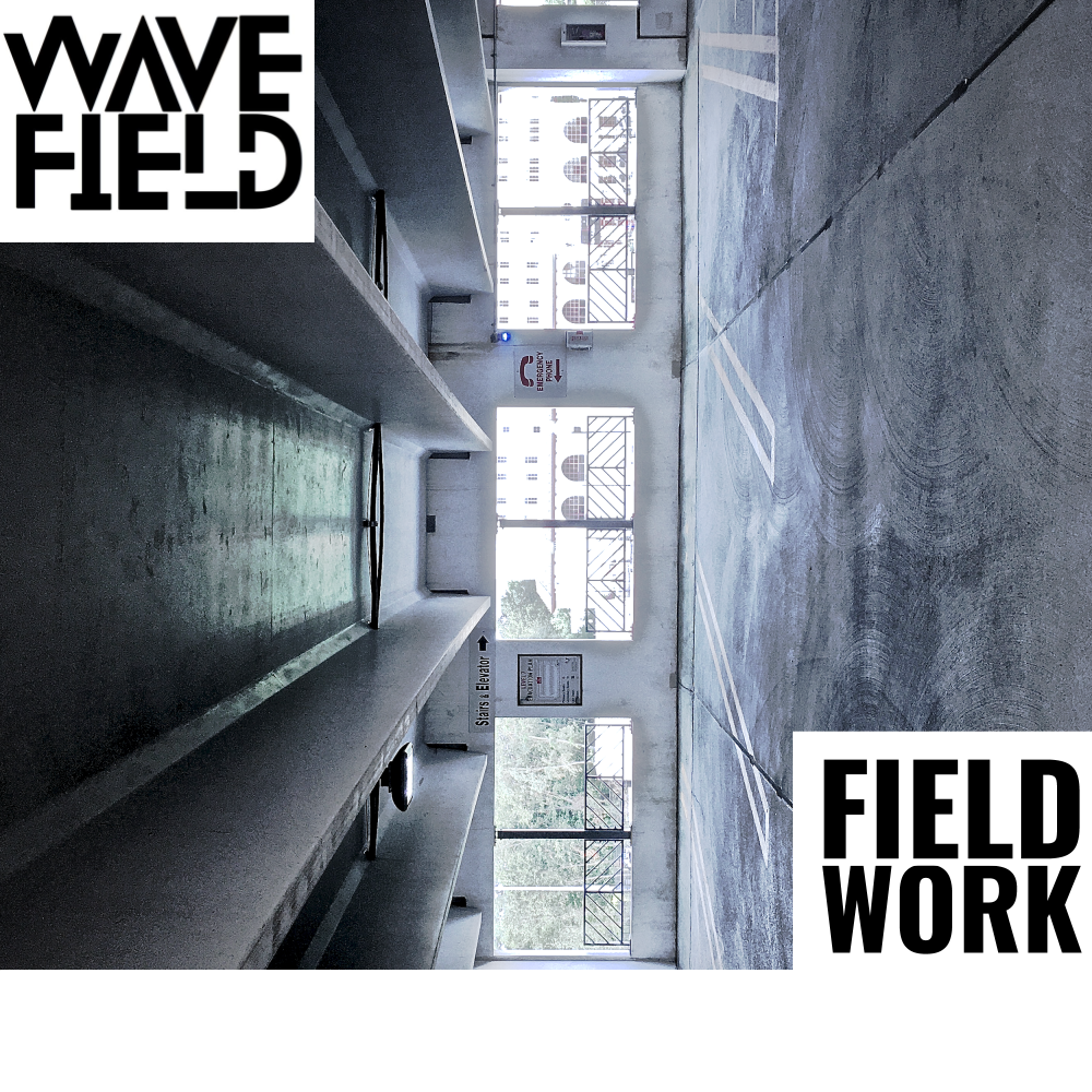 Fieldwork Part 4: