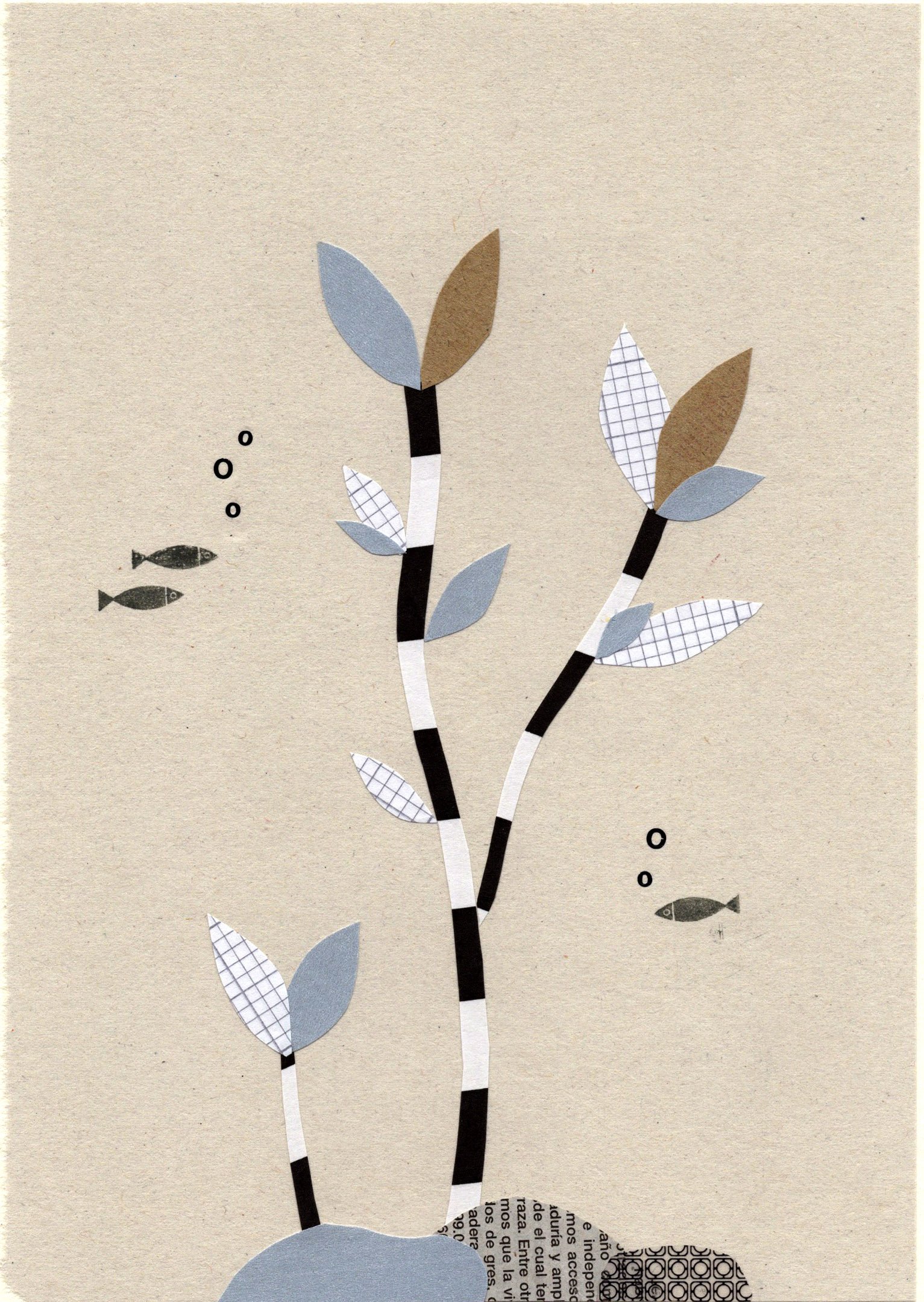 seaweed collage.jpg