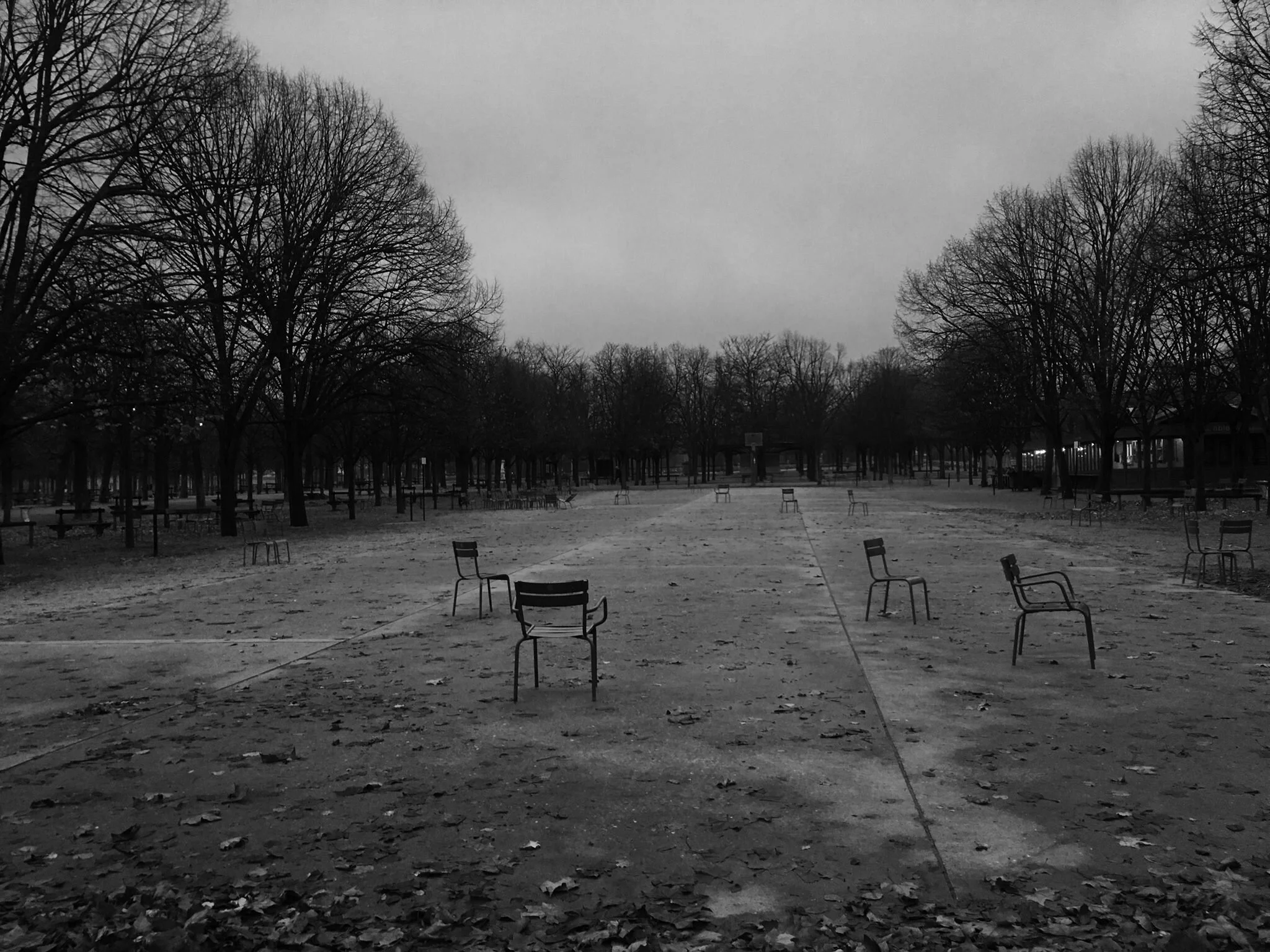 TUILERIES.jpg