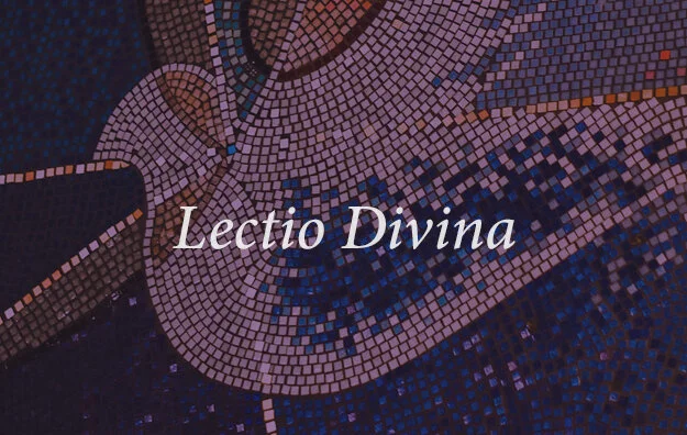 jpiicfe-lectio-w2.jpg