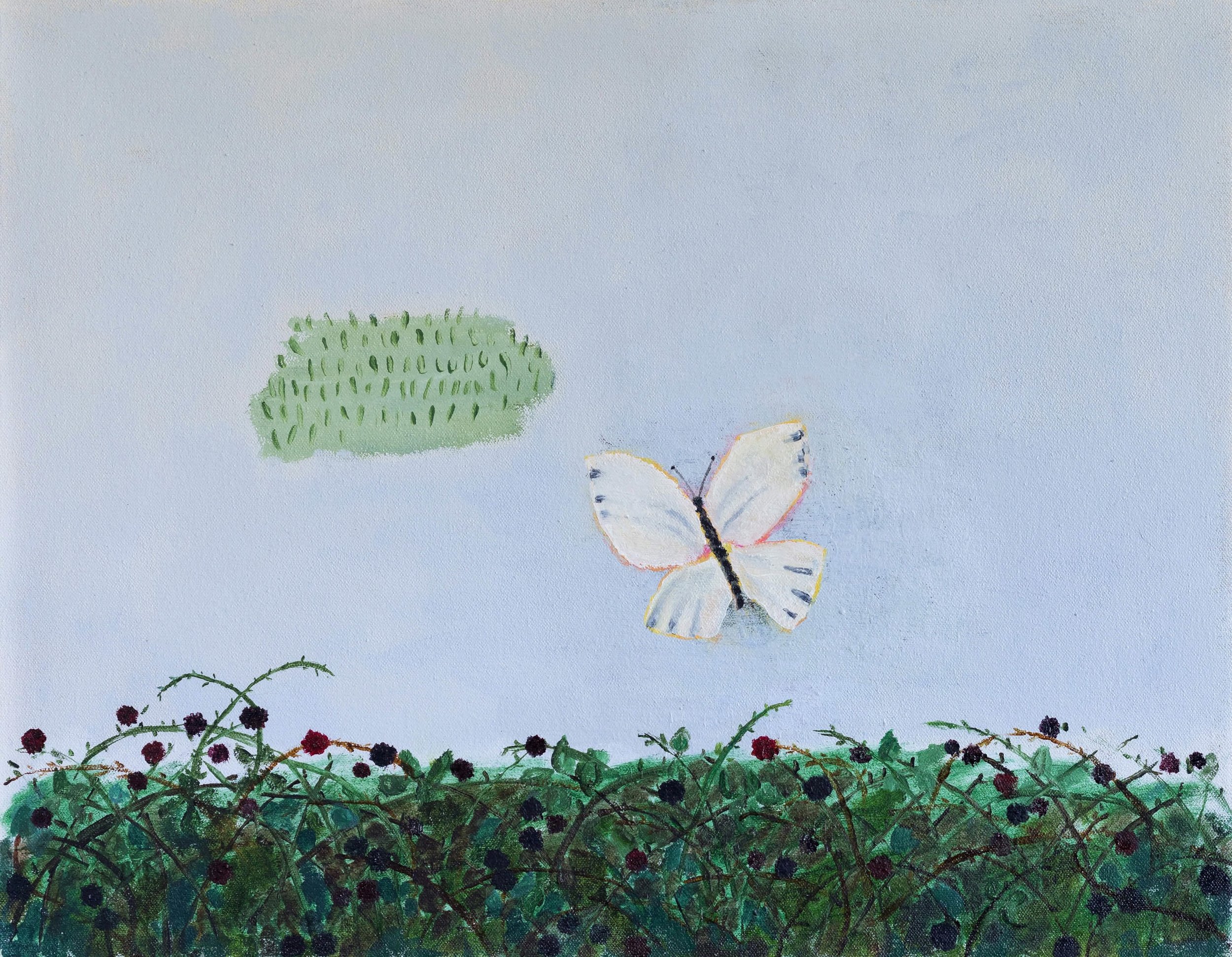 Butterfly © Anita Murphy 2025 copy© Anita Murphy 2025© Anita Murphy 2025 copy.jpeg