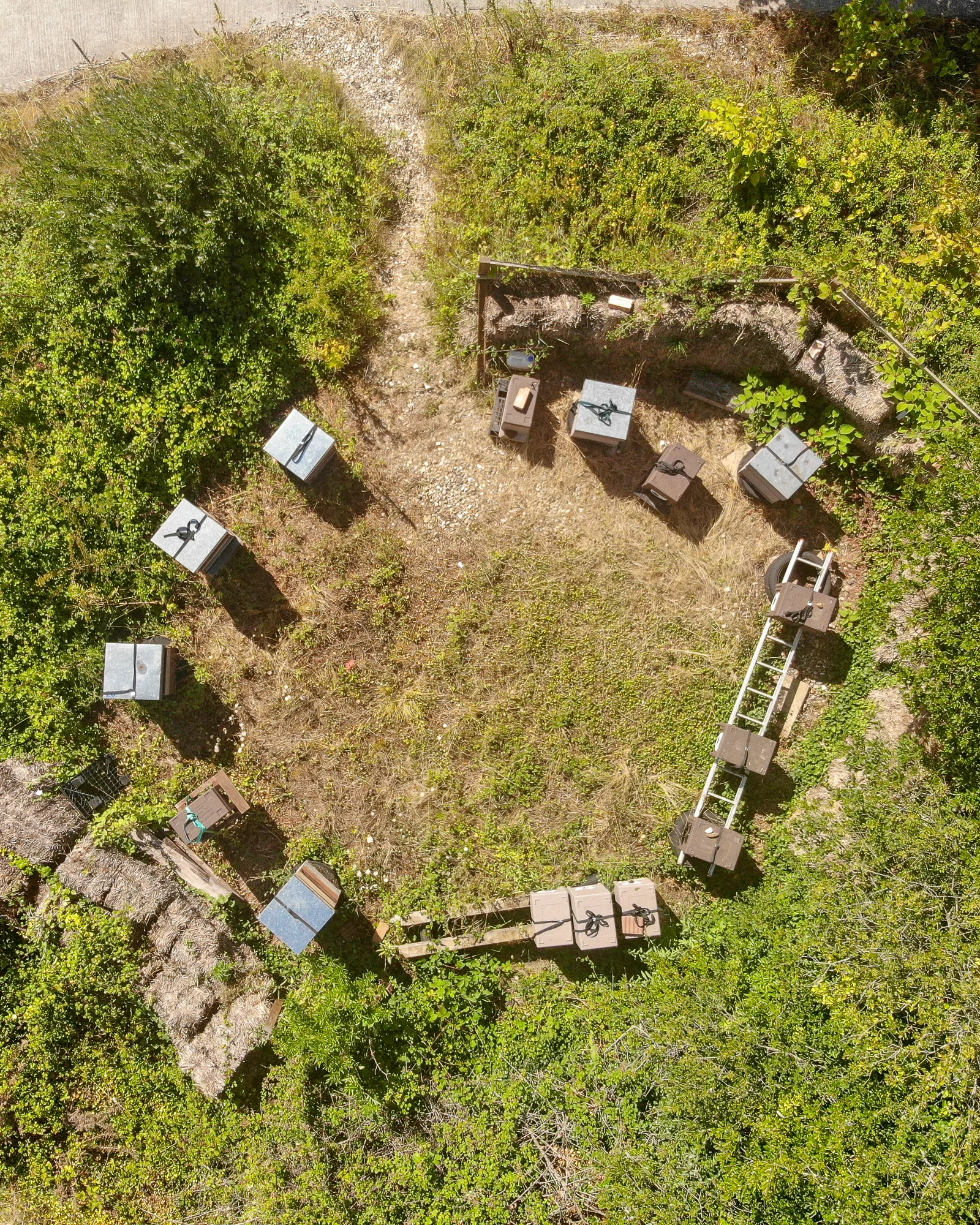 aerialcommon-3.jpg