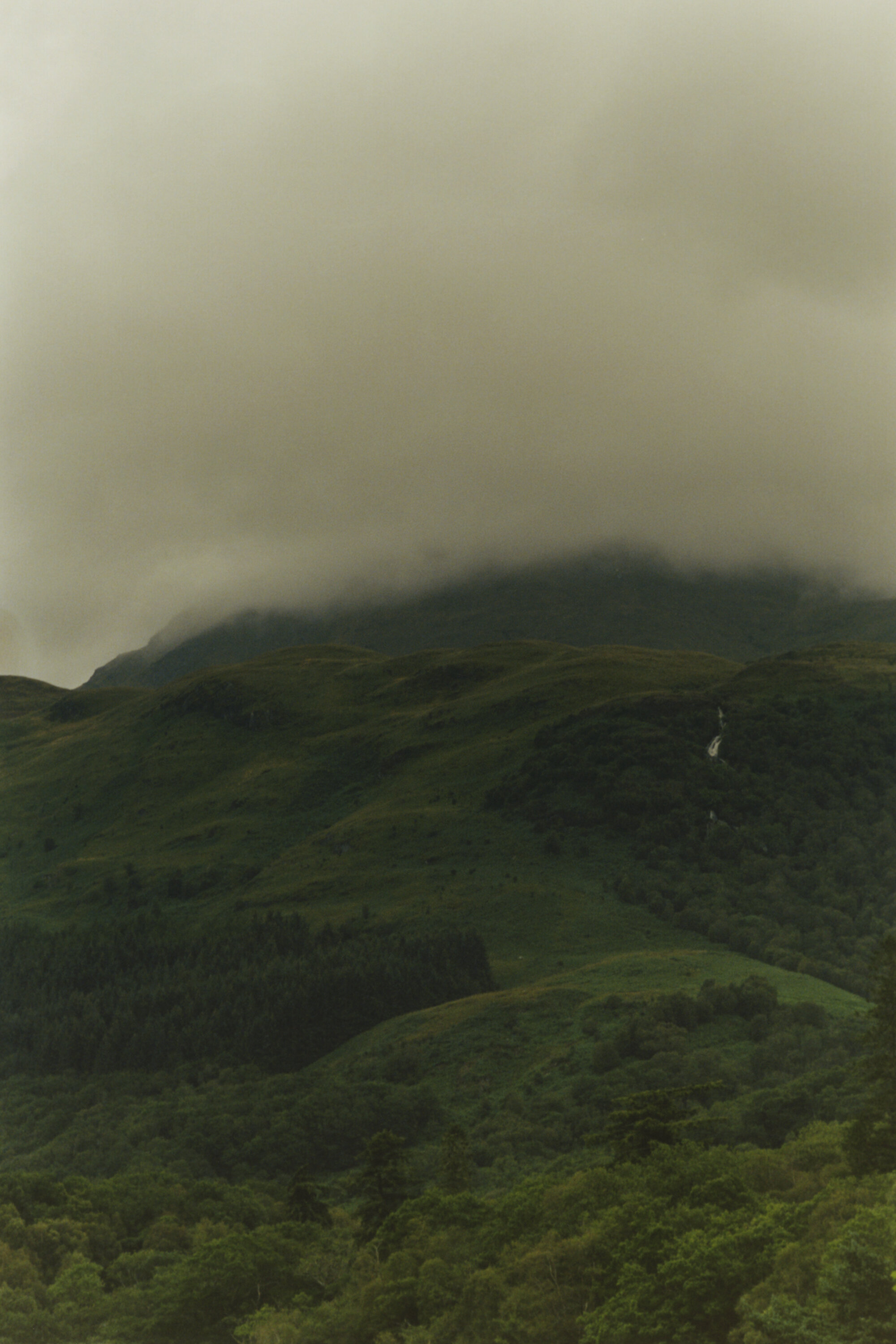 2019_08 46.jpeg