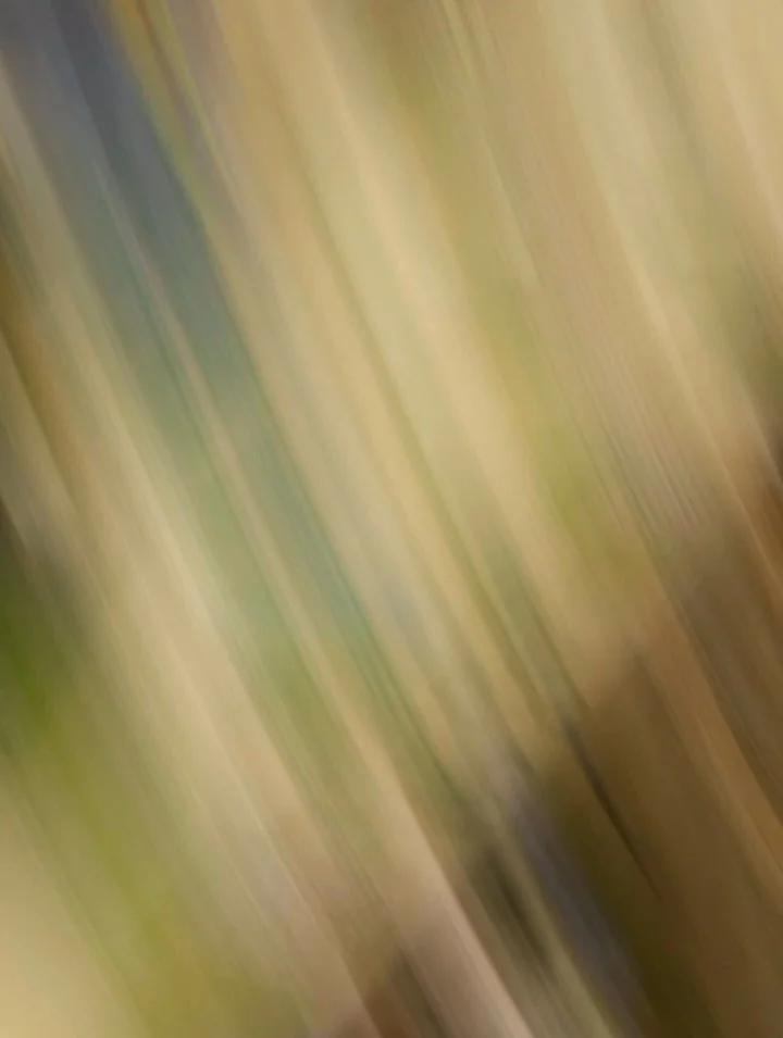 NN CAMP HAS OFFICIALLY STARTED!!!🙂‍↕️🙌🏼