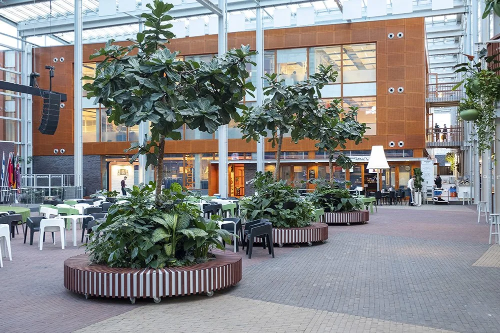 Deltion-College-Zwolle-boulevard-planten.jpg