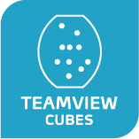 Copy of TeamView, TeamView CUBES Competencies Report (Copy)