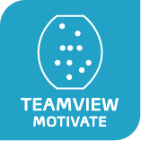 Copy of TeamView, TeamView MOTIVATE Report (Copy) (Copy)