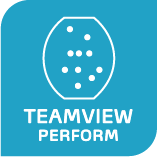 Copy of TeamView, TeamView PERFORM Report (Copy) (Copy)