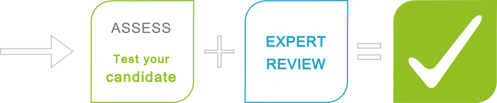 Assess+ExpertReviewEN.png