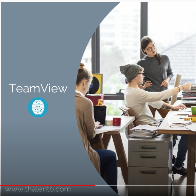 TeamView