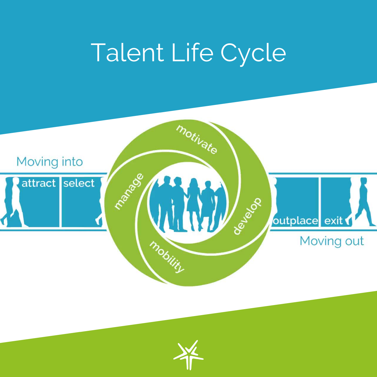 The Talent Life Cycle