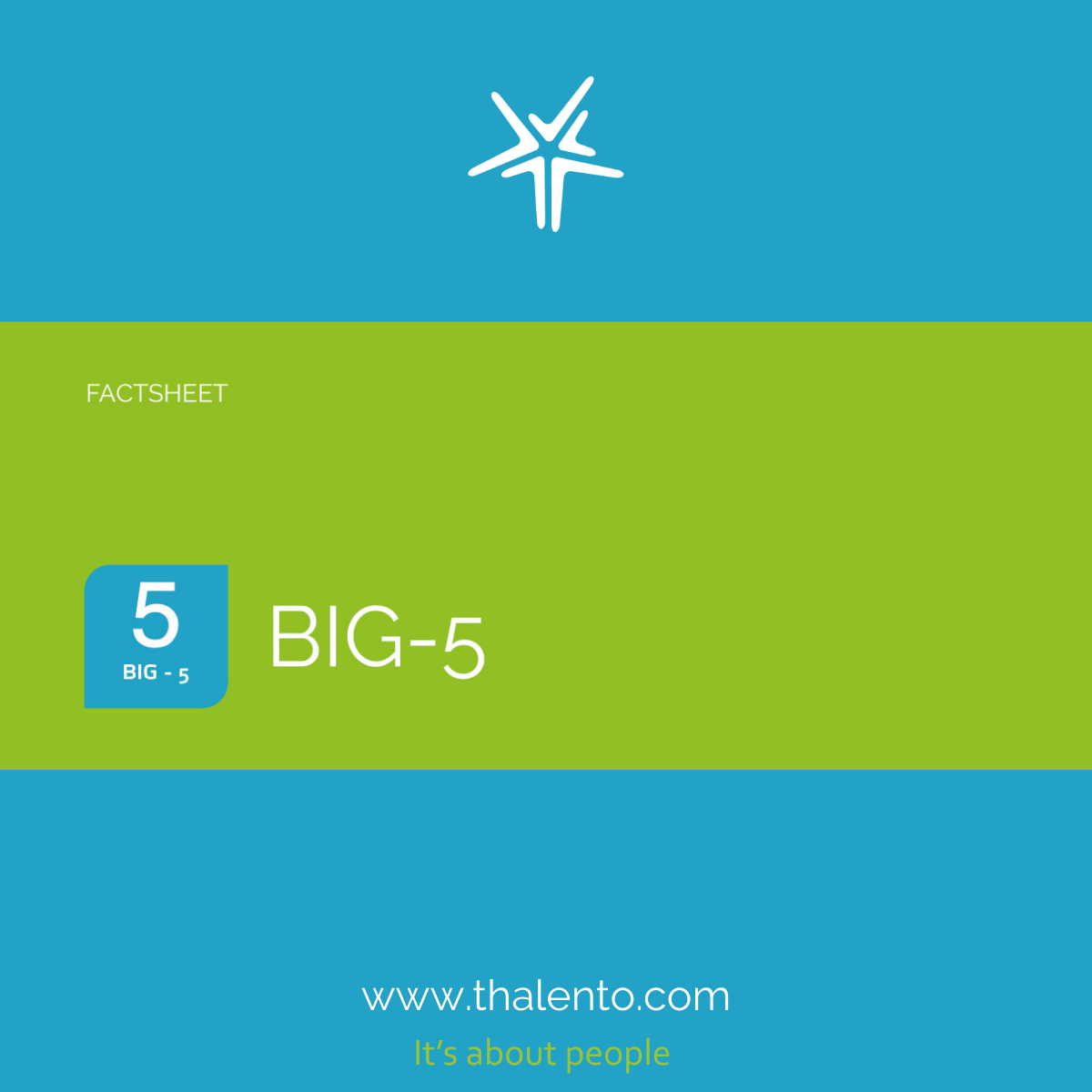 Get to know our BIG-5 Report
