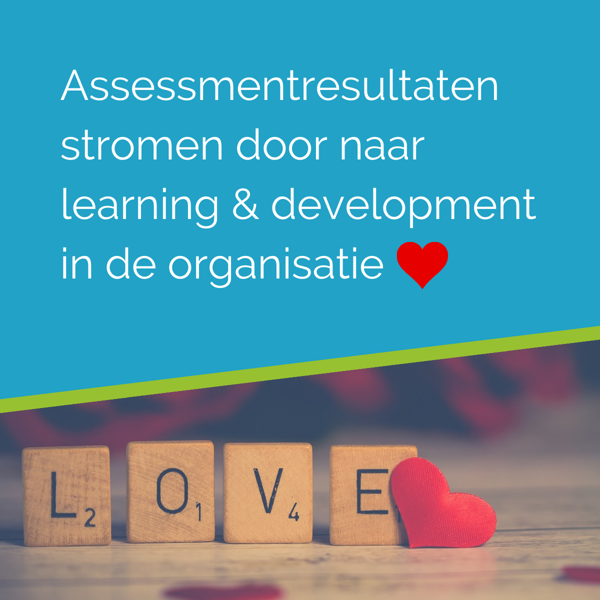 Assessmentresultaten stromen door naar learning &amp; development in de organisatie