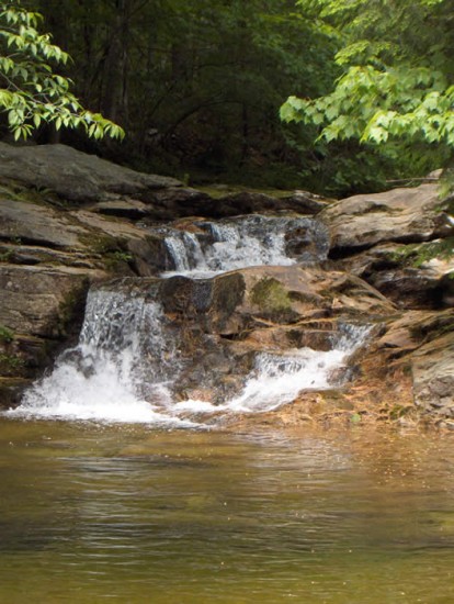 We hold and monitor conservation easements and also own and manage land. The impacts of development and changing climate prompt us to protect strategically important parcels with the support of owners. We are innovators and we stay informed of advances to approaches to land conservation.