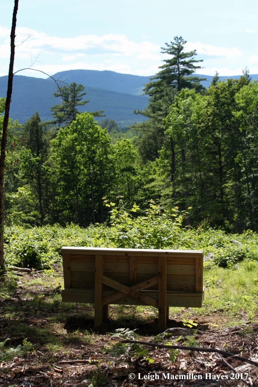 l-bench-view.jpg