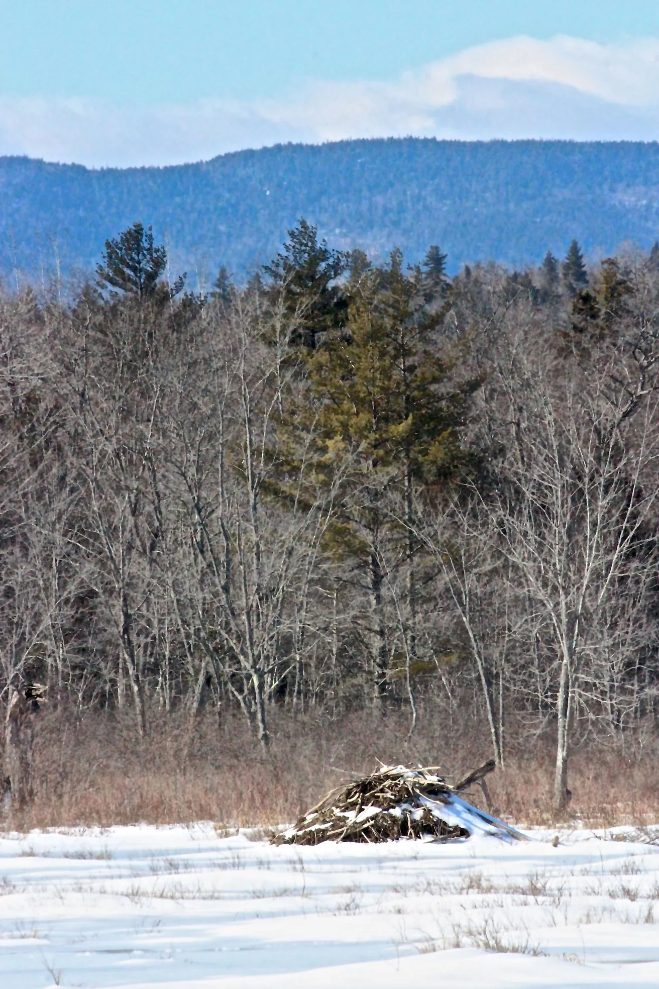 sb-lodge-and-layers.jpg