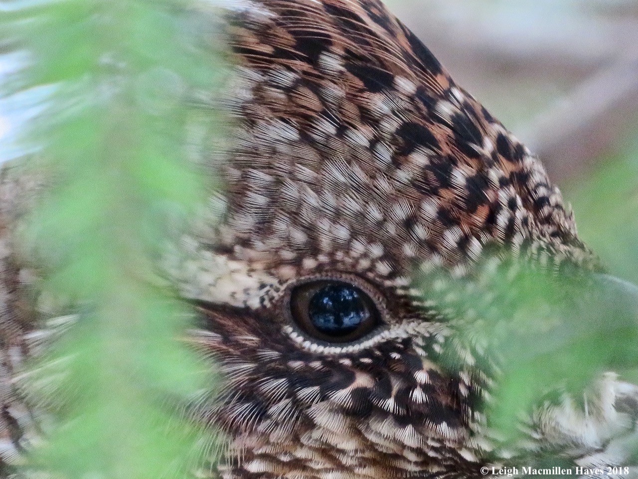 5-eye-to-eye.jpg