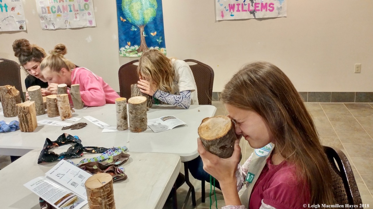 Lovell Girl Scout Cadette Troop 67 up close and personal with tree cookies
