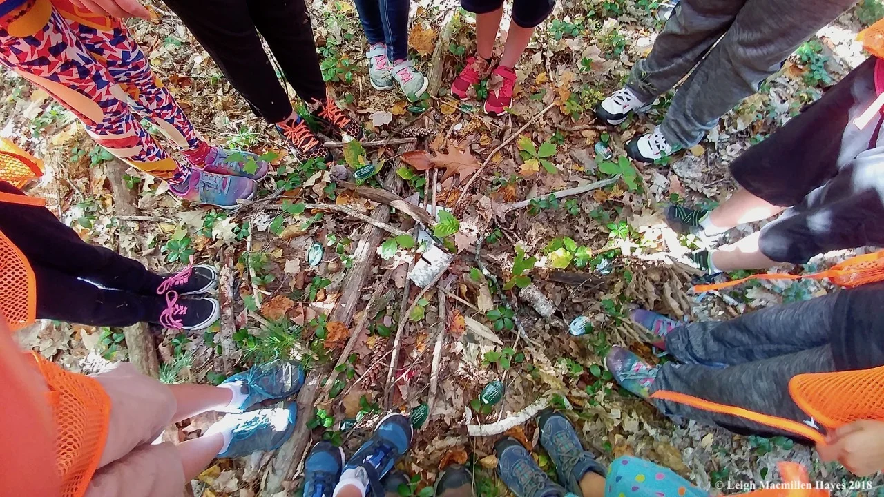 GLLT/Lovell Recreation Trailblazers created a woodland map