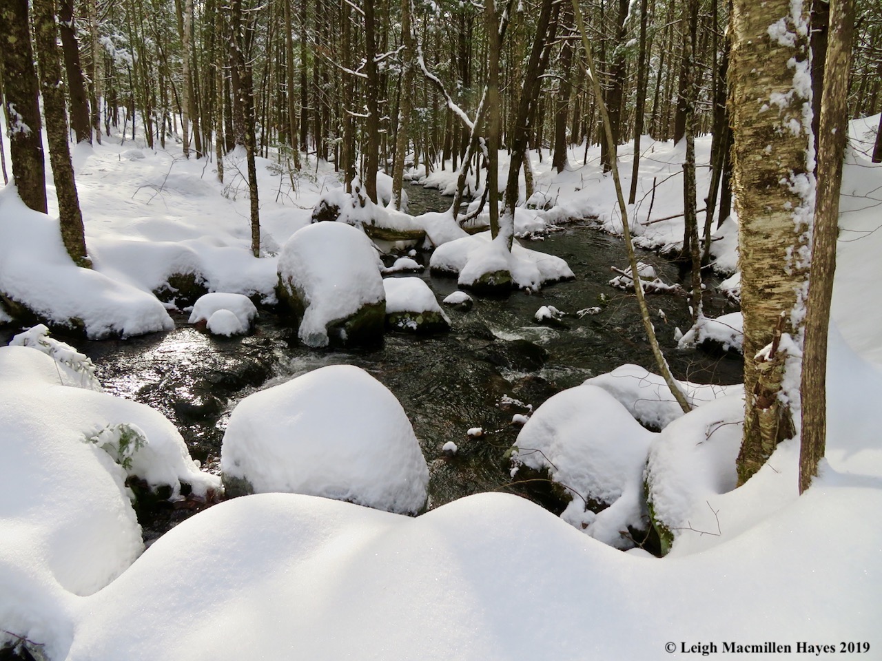 4b-sucker-brook-boulders-and-trees.jpg