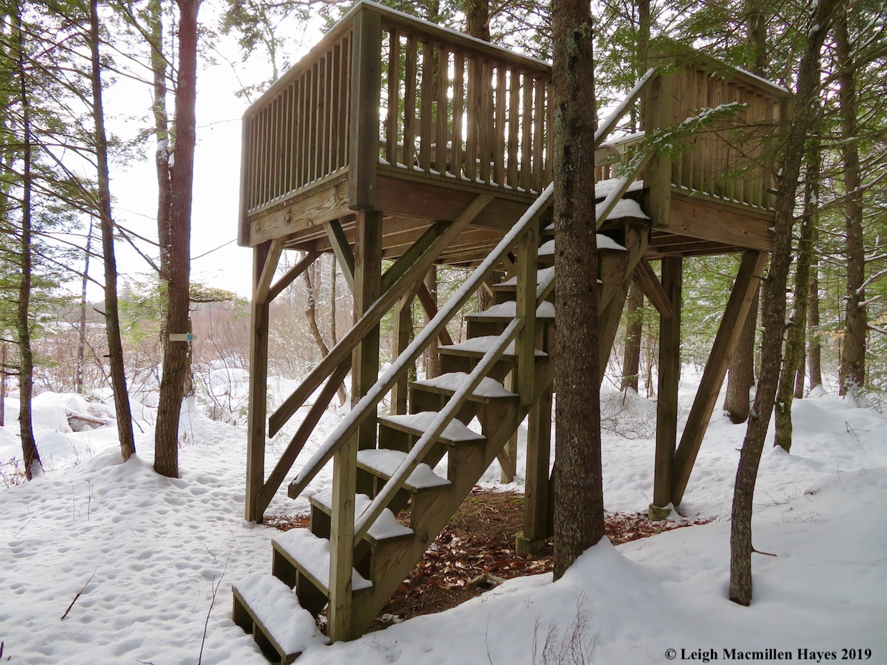 15-viewing-platform.jpg