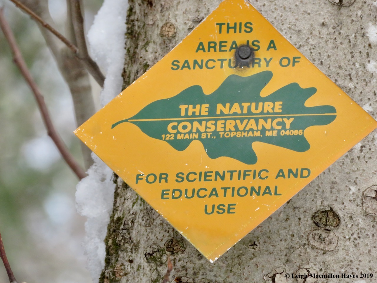 17-nature-conservancy.jpg