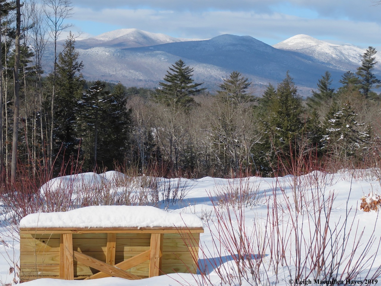 19-bench-with-a-view.jpg