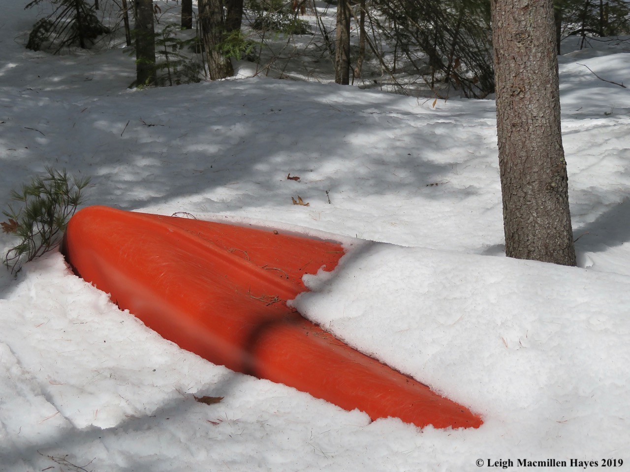15-can-you-canoe-.jpg