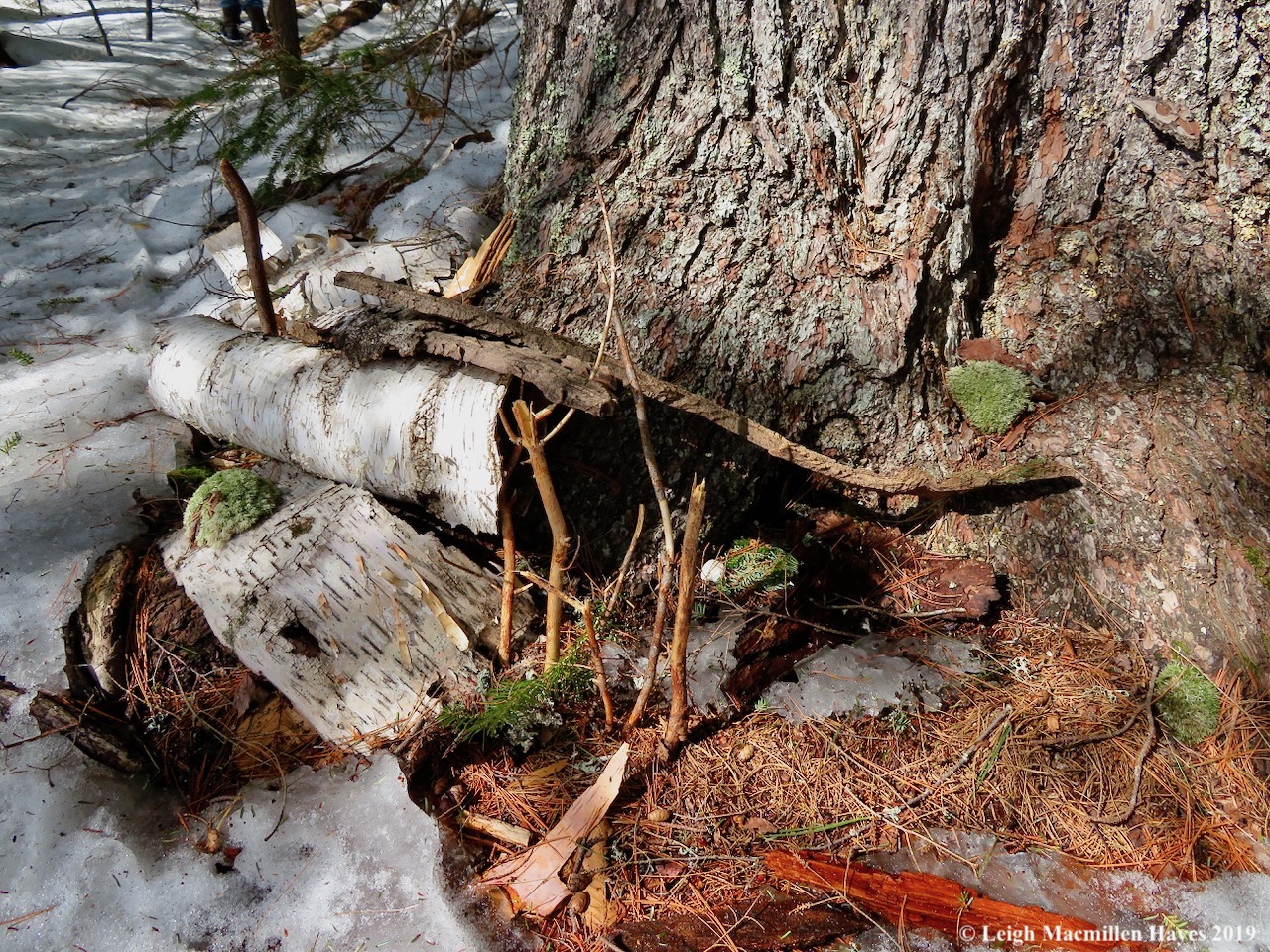 25-fairy-house.jpg