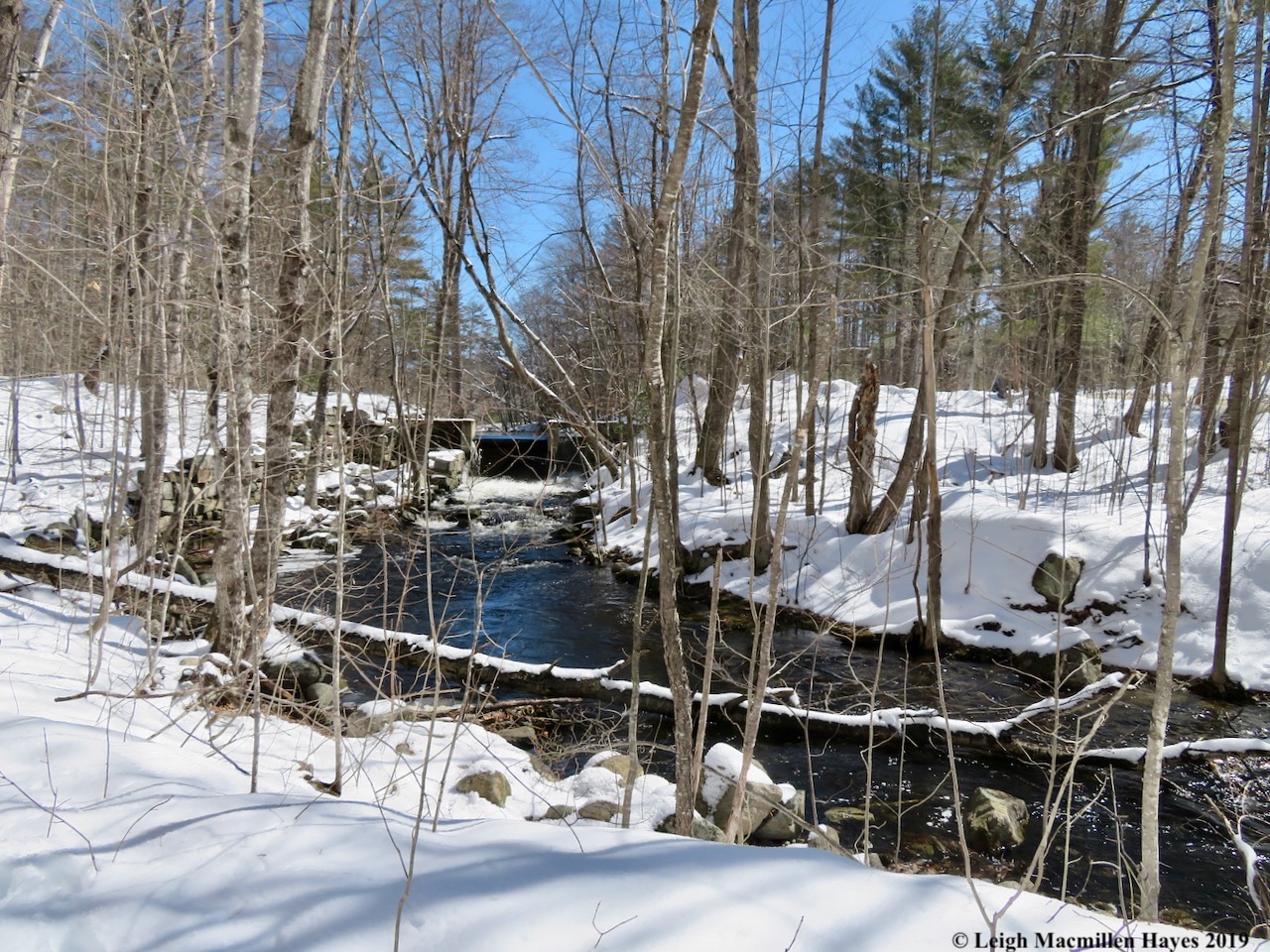 2-mill-brook-below-heald-pond.jpg