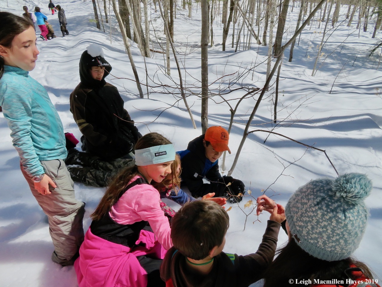 10-learning-about-alternate-twigs.jpg